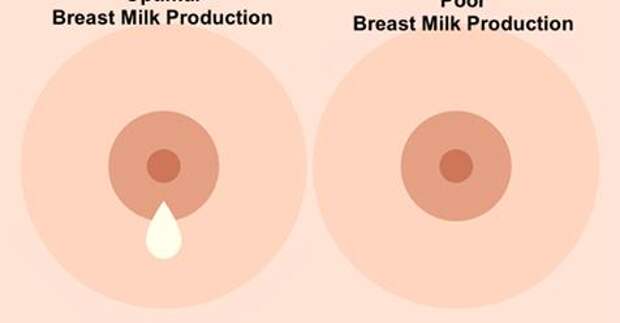 What hormone produces breast milk