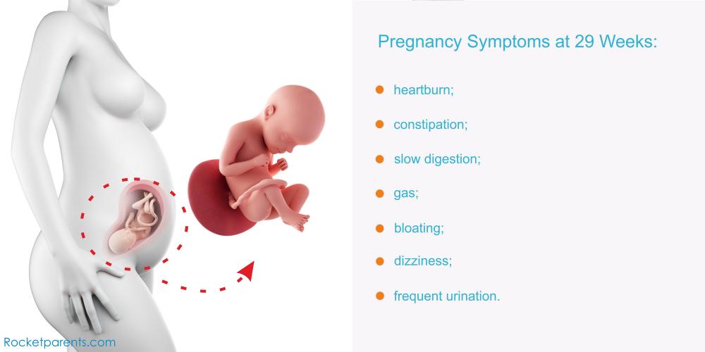 Seven week pregnant symptoms