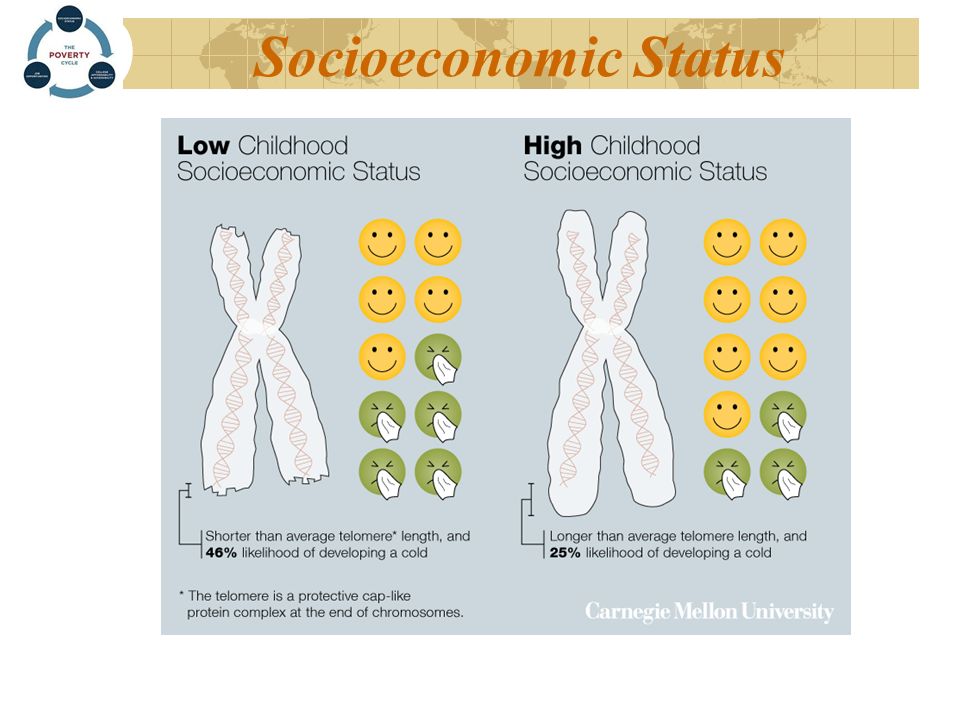 How does socioeconomic status affect child development