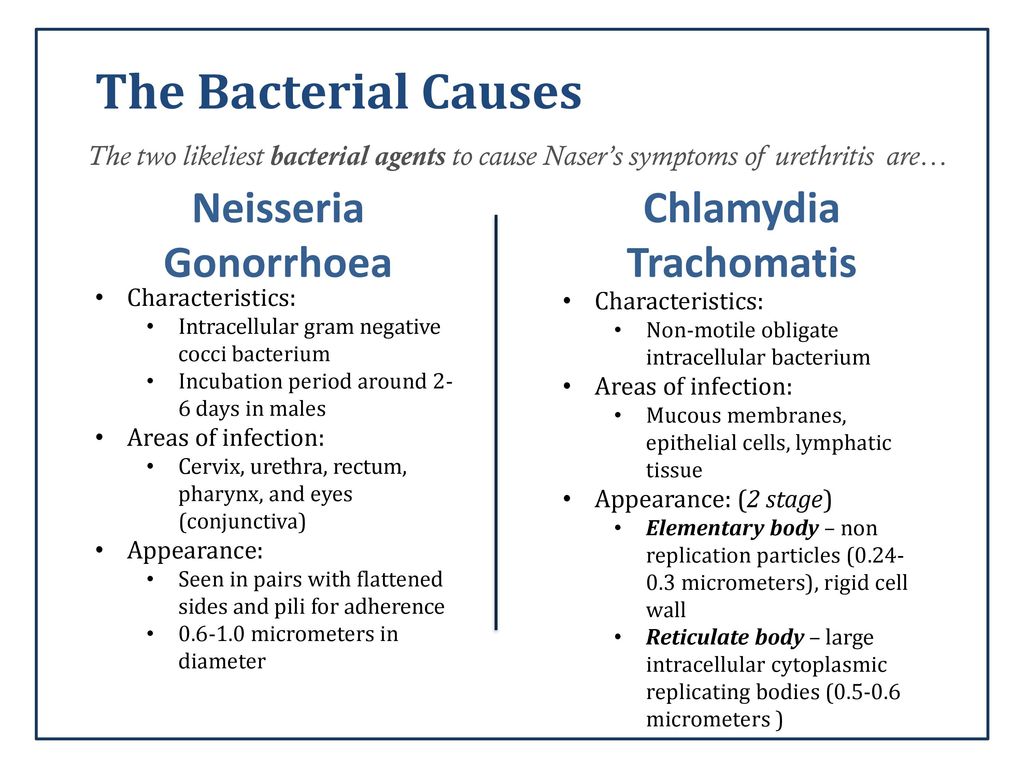 Pictures of chlamydia and gonorrhea