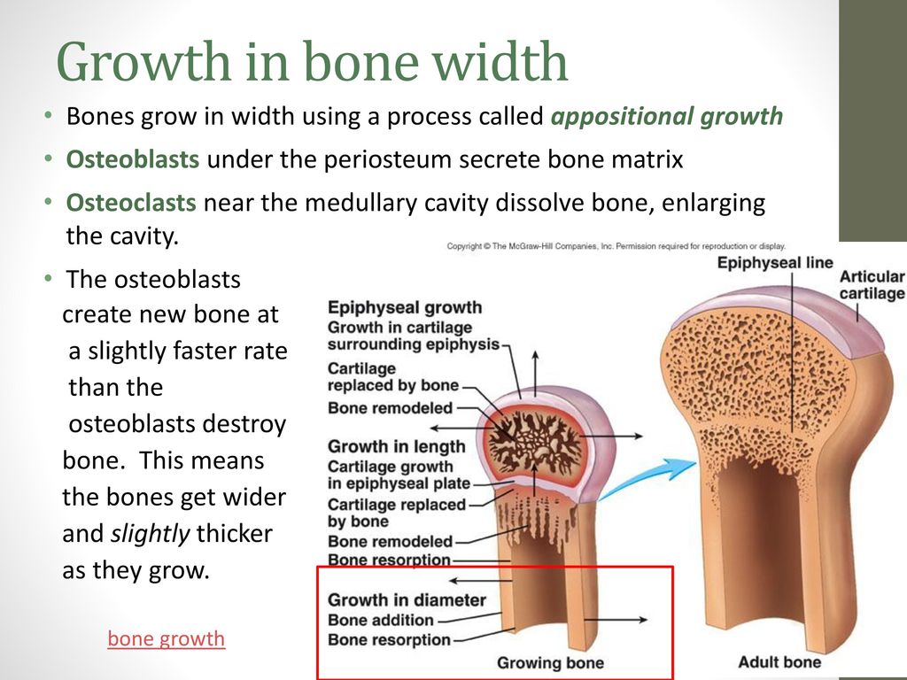 Growth and development of new born