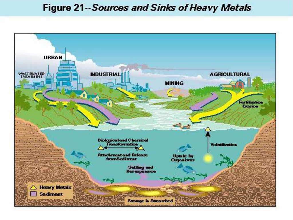 How to detox a child from heavy metals