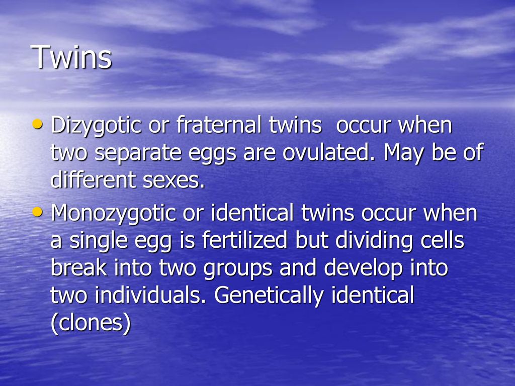 What is dizygotic twins