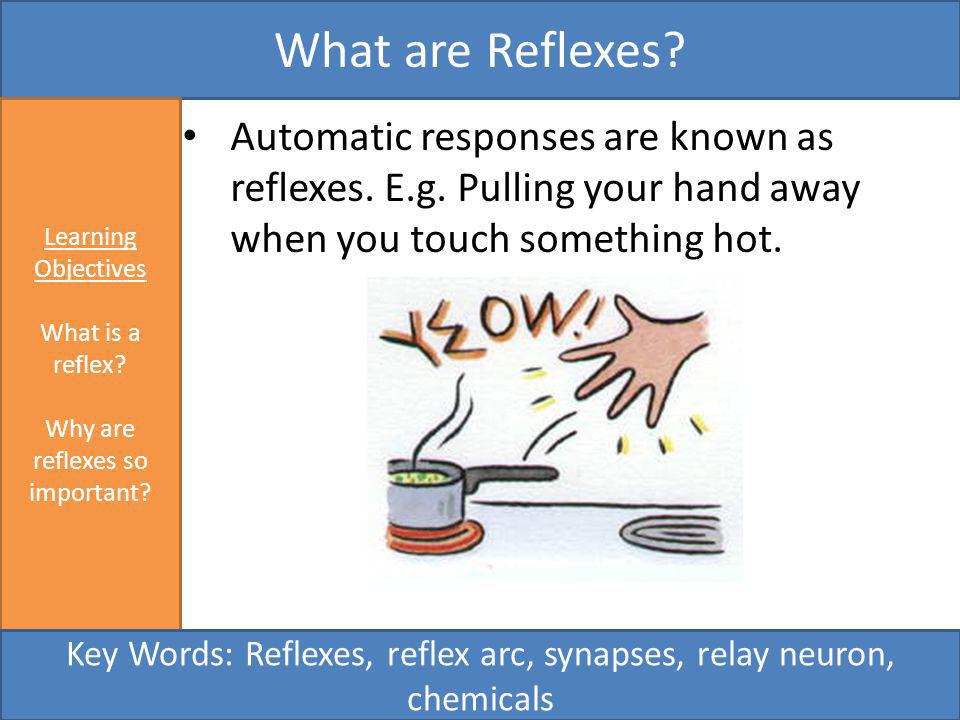 What is the let down reflex