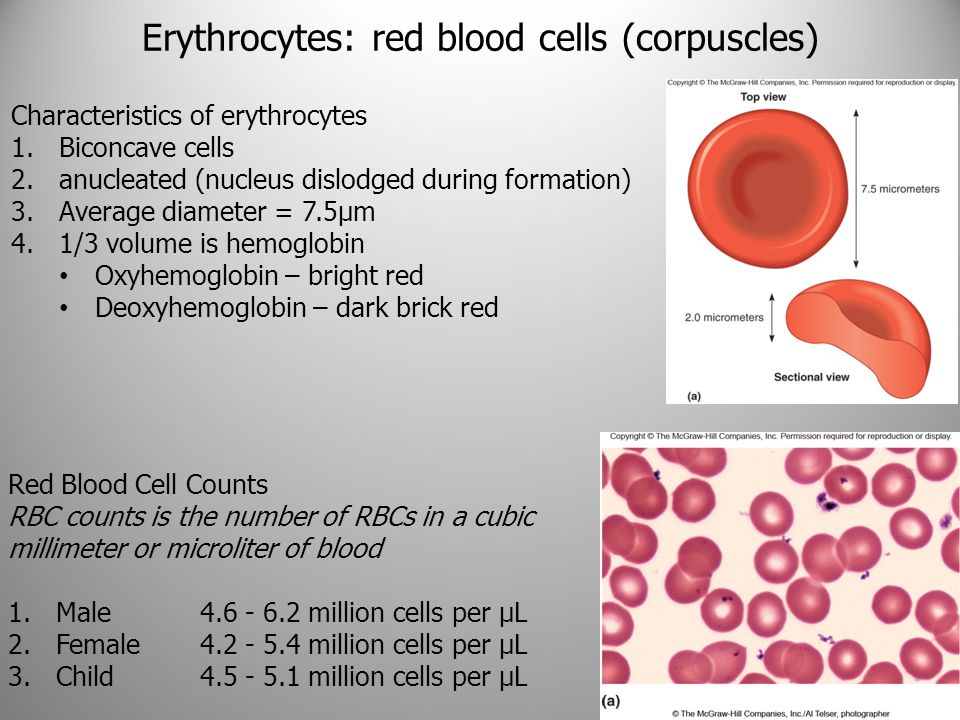 Low red blood cell count during pregnancy