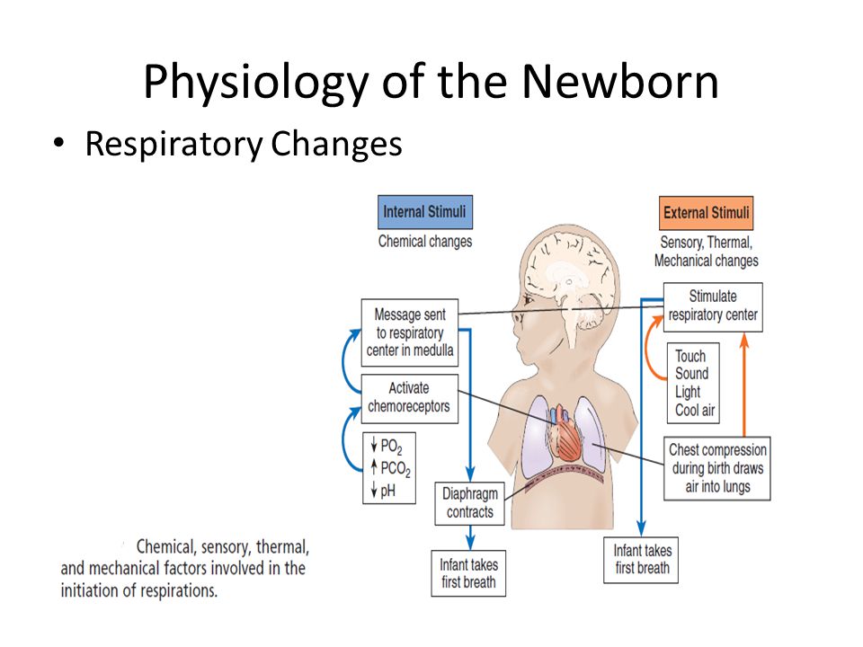 Normal body temp for a newborn baby