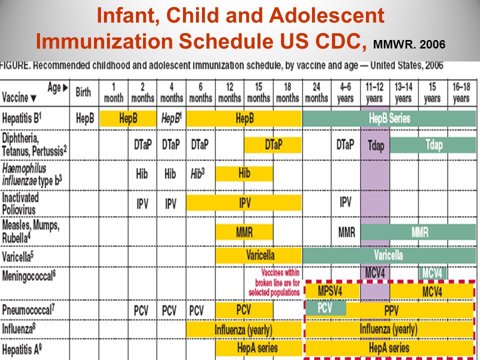 Vaccination schedule in pregnancy