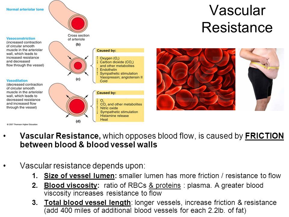 How much blood do you lose during a miscarriage