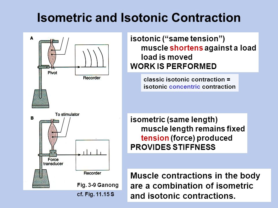 Duration of contractions