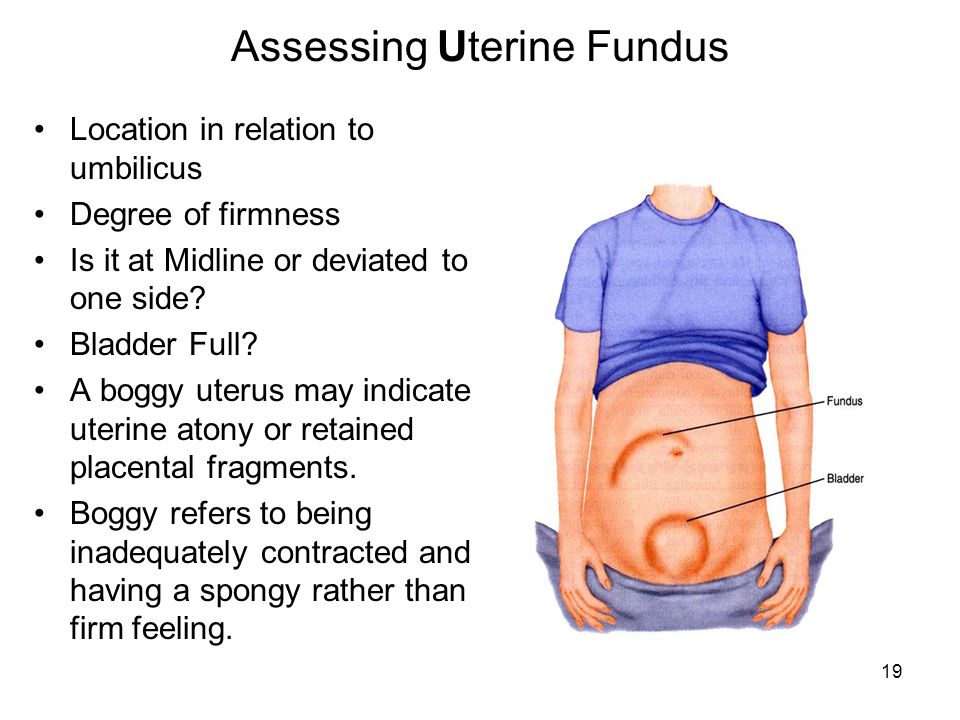 Uterine measurements during pregnancy