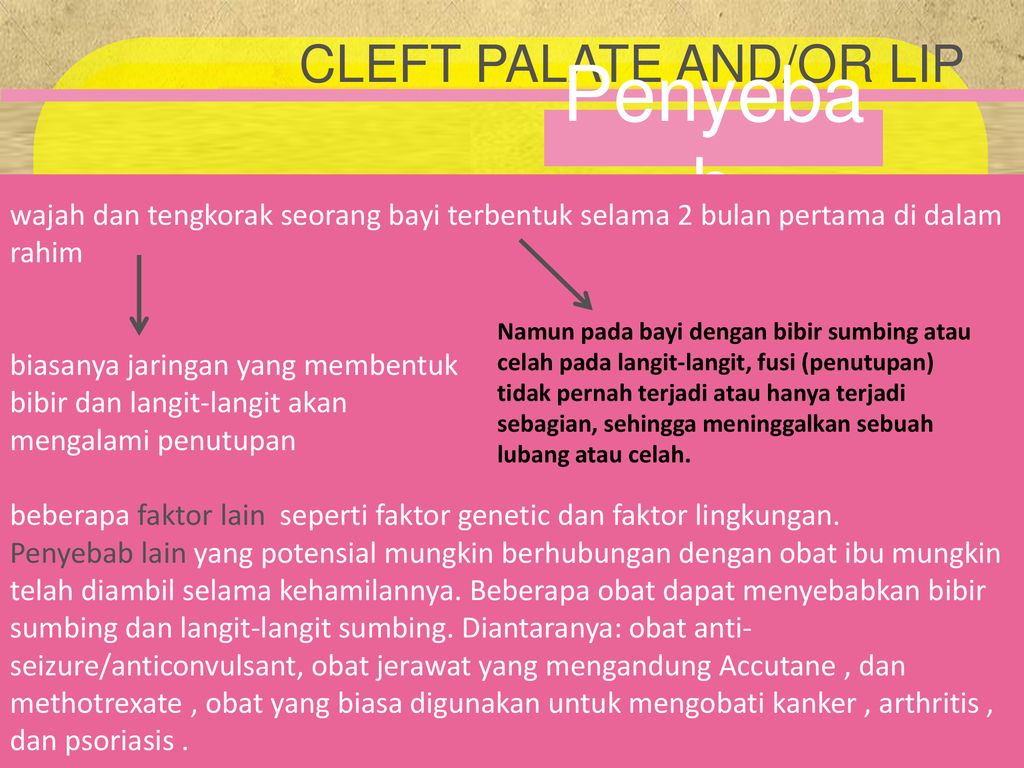 When do cleft palates form