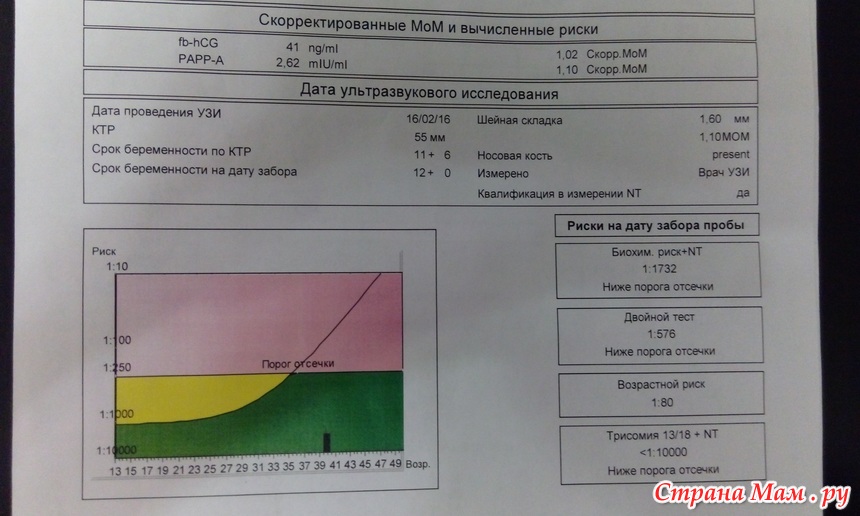 What is human chorionic gonadotropin hcg