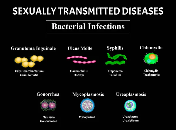 What is the bacteria that causes chlamydia