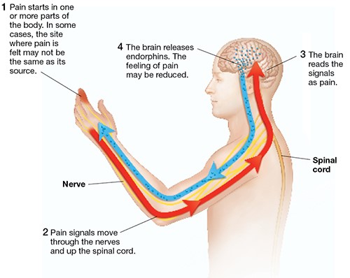 How to help contraction pain