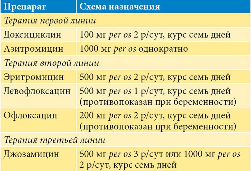 Chlamydia in early pregnancy